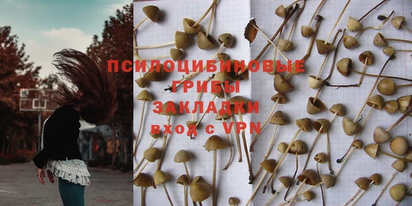 стаф Бугульма